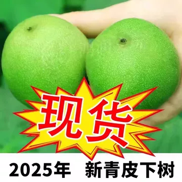 核桃文玩蛤蟆头-核桃文玩蛤蟆头促销价格、核桃文玩蛤蟆头品牌- 淘宝