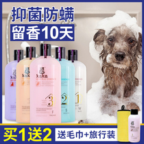 Dog shower gel golden retriever Samoyed Teddy special pet supplies cat and dog universal bath shampoo Beauty Hair deodorant