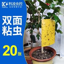 Yellow board fruit tree armyworm paste double-sided mosquito control stick fly paper outdoor mosquito paste blue board greenhouse orchard bonsai vegetables