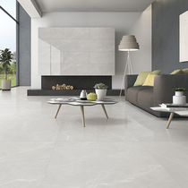 Dongpeng tile Ouya Gray modern simple living room floor tile floor tile 800x800 lightweight tile floor tile