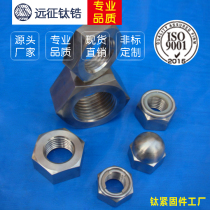 Titanium Alloy TC4 Titanium nut Titanium nut Screw cap M3 M4 M5 M6 M8 M10 M12 M16 M20