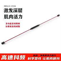 Flying Lands Blue 2021 Explosive Fire Fitness Flying Machine Stick joinfit Multifunctional Fitness Shake Bar