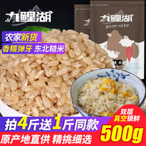 Jiuli Lake Brown Rice Buy 4 get 1 free Northeast rice germ Xuan rice live rice Whole grains Whole grains 500g bag