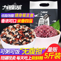 Three-color brown rice low-fat new rice 5kg grains brown rice black rice red rice fitness germ germ coarse grain rice Rice