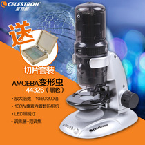 American Star Tron AMOEBA Amoeba Digital Microscope Magnifier High Power HD Black Professional 44326
