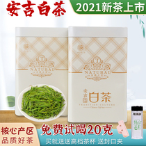 2021 Spring new tea Anji white tea Mingqian premium rare white tea tea fragrant green tea bulk 250g