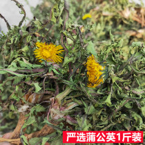Dandelion tea Chinese medicine sun-dried whole plant with root Dried Dandelion root special grade natural wild pure mother-in-law ding