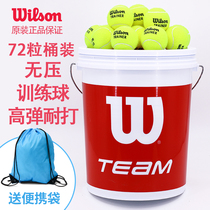 Wilson Wilson Willson Tennis Team Trainer 72 Training Ball Bucket Bagged Bulk Training Ball