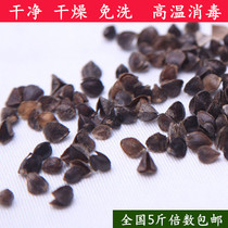 Buckwheat Shell Bulk Adults Children Health Care Pillow Fillings High Temperature Disinfection Free Wash Health Care Neck Buckwheat Peel
