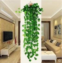 Parthenocissus wall-mounted evergreen simulation plant fake flower Vine vines decoration green plant Wall air conditioning leaf hanging basket Green