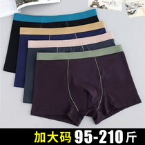 Men's seamless cotton underwear plus fat plus size fat fat fat loose underpants underpants cotton shorts head comfortable