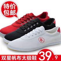  Double star sports martial arts shoes womens summer beef tendon bottom sports shoes breathable Taijiquan practice shoes childrens martial arts training