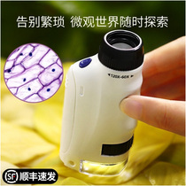Portable Primary School students handheld simple microscope professional looking at bacteria students dedicated junior high school biology middle school students