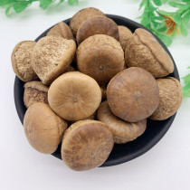 Wind Stream fruit wild 500 gr Chinese herbal medicine Tonic Male Kidney Drop Vine Fruit Brew to nourish the raw tea Turtle dandy Big fruit