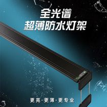 Full spectrum water and land cylinder lamp bracket lamp equivalent special lamp LED aquatic tank tropical rain forest cylinder plant lighting lamp