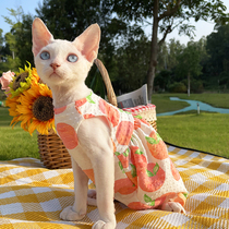 Sphinx hairless cat clothes Devon kitten dress Sleeveless bubble sleeve summer light and cute spring and summer new