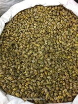 Purple Dendrobium Dry Huoshan Dendrobium Dendrobium Dendrobium Fengdou Granules Bud Wind Fighting Powder Touch 250g Half Jin