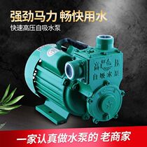 Booster pump household water well self-priming pump 220V aluminum head self-priming pump high lift range large flow pressurized booster pump