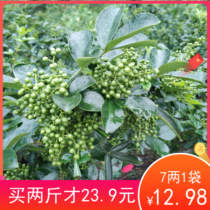 Fresh-keeping nine-leaf green pepper Teng rattan pepper green pepper fish seasoning vacuum package Sichuan Chongqing 2021 new goods