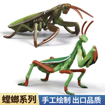 Simulation Mantis Model Plastic Insect Animal Toys Children Baby Cognition Boys Girls Early Education Coeducational Pendulum