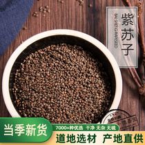Chinese Herbal Medicine Perilla Seed Xiangsu Perilla Seed 500g  