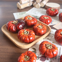 Small pumpkin dried flower Christmas Halloween decoration small pumpkin mini natural plant home inn decoration props