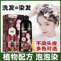 Tongrentang one wash color bubble hair dye at home dyeing black beauty landot pure plant color hair cream