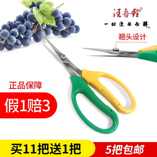 Wang Wuyi 2108 Ножницы для восстановления винограда, фермеры, фрукты и фрукты, тонкие фрукты, тонкие посты, цветок, цветок, апельсиновые ножницы