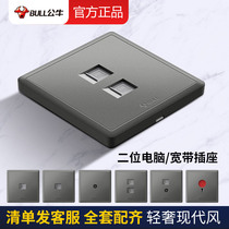 Bull Double Net Port Panel Home Concealed Network Cable Box Five Types Information Interface Two Bits Computer Broadband Network Socket