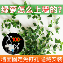 Green plant climbing holder snap strong incognito patch vines climbing clip training adhesive hook green radish modeling artifact