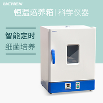 Lichen Technology Electric Constant Temperature Incubator Small Microbial Incubator Laboratory Seed Constant Temperature Budding Box