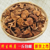 Northeast Teryield wild hazelnut dry goods 500g Natural dried delicious food Delicious Food Little Chicken Stew Mushrooms No Root Dry