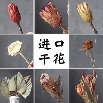 South Africa imports light luxury high-end dried flower decoration bouquet real flower living room decoration air-dried high-end natural snow lotus immortality