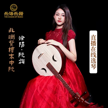 中国　中阮 星海專業中阮樂器奧氏黃檀木民族演奏級中阮