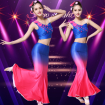 New Dai clothing female adult slim-fit Thai Xishuangbanna traditional peacock dance fishtail dress dance performance suit