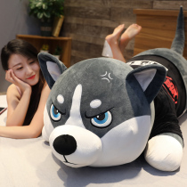 Haschic plush toy Erha Pillow Paparazzi boys and girls bed to sleep cute big number dog cloth doll dolls