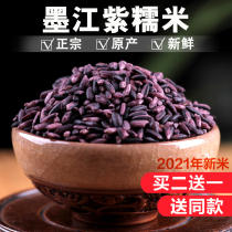 Yunnan Mojiang Purple Rice Purple Glutinous Rice New Rice Farmhouse Old Variety Blood Glutinous Rice 2 Jin Non-black Rice Black Glutinous Rice