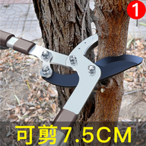 Garden scissors pruner prunes flowers gardening fruit trees labor-saving branches special large scissors trim branches coarse branches cut