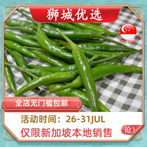 (Vegetable)Small green pepper 1kg Singapore local delivery