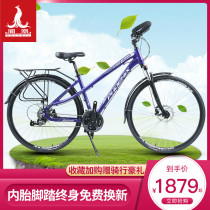 Phoenix butterfly put station wagon male and female adult bicycle Shimano variable speed oil disc aluminum alloy 27 5 inch bicycle
