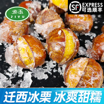 Purple Jade frozen chestnut authentic cooked chestnut fresh sugar steamed roasted ready-to-eat non-imperial chestnut emperor on the upper Ice Magic chestnut