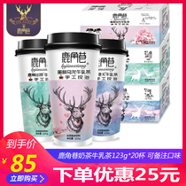 Antlers Lane Milk Tea Milk Tea Brown Sugar Deer Pills Peach Oolong Antlers Milk Tea 20 cups full carton milk tea