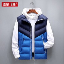 Autumn and winter mens Korean version of the trend vest shoulder horse clip slim handsome down cotton Joker spirit guy jacket
