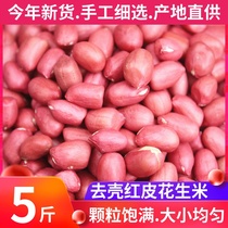 Red Peanuts 5 Jin new small raw peanuts four red peanuts red peanuts red peanuts
