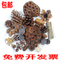  Taiwan Pinecone dried showerhead cedar tower cotton dried flower forest material package diy handmade kindergarten Huanchuang material