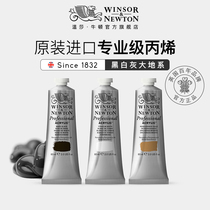 Windsor Newton artist professional imported acrylic pigment painting special waterproof non-fading-2