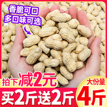 Longyan peanuts boiled peanuts with shell multi-flavor garlic fried goods Dormitory resistant snacks Snack snack snack food