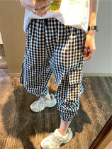 Korea Dongdaemun ~ Plaid pants womens summer thin loose thin beam feet nine-point plaid Harun casual pants