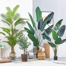 Large Nordic traveler Banana simulation green plant Bird of paradise potted tortoise living room ins wind plant desktop bonsai