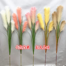 New product long branch Reed simulation flower big flower ear living room window living room floor Vase decoration ornaments fake flowers and plants